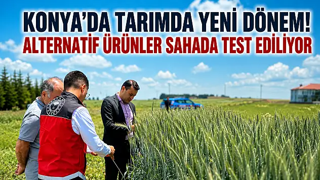 Konya'da tarımda yeni dönem! Alternatif ürünler sahada test ediliyor