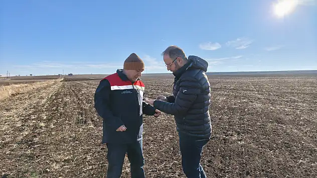 Konya'da tarlalar mercek altında: Üreticiye sahada teknik destek