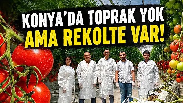 Konya'da toprak yok ama rekolte var!