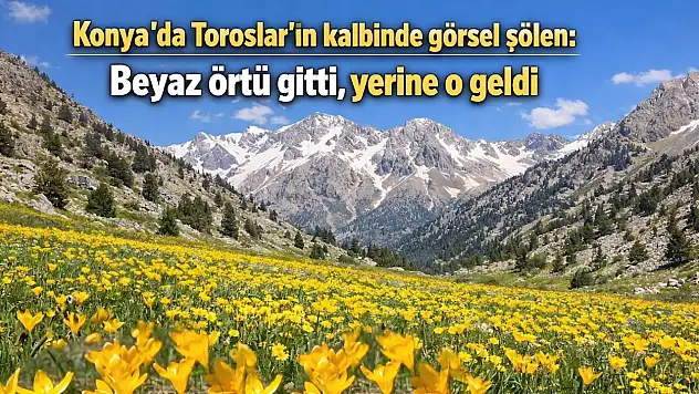 Konya'da Toroslar'ın kalbinde görsel şölen: Beyaz örtü gitti, yerine o geldi