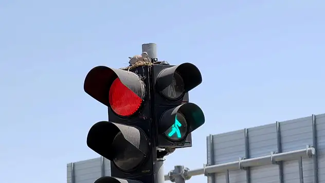 Konya'da trafik ışığı kumrulara yuva oldu