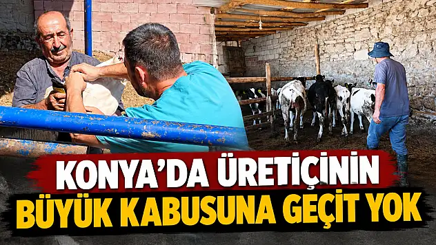 Konya'da üreticinin büyük kabusuna geçit yok!