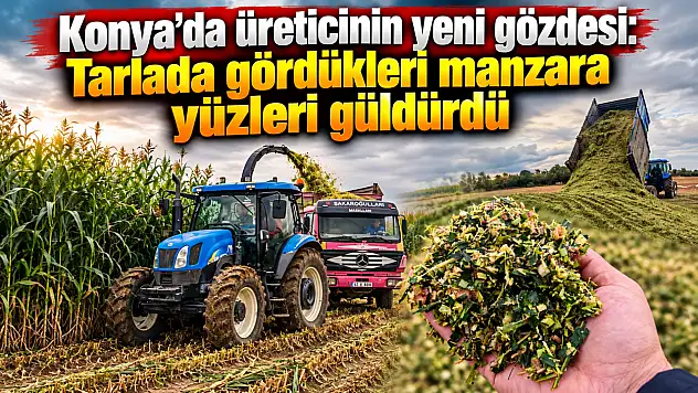 Konya'da üreticinin yeni gözdesi: Tarlada gördükleri manzara yüzleri güldürdü