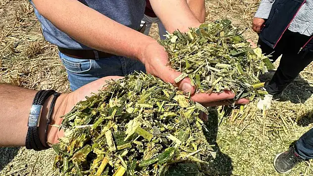 Konya'da üreticinin yüzünü güldüren proje: Hem az su harcıyor hem de tarlayı coşturuyor!