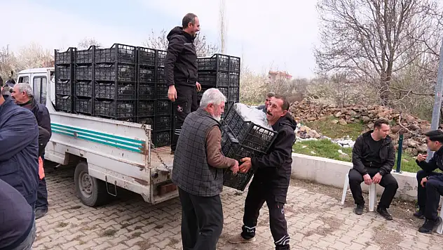 Konya'da üreticiye can suyu: 126 bin çilek fidesi dağıtıldı