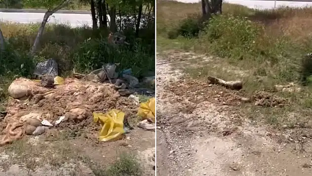 Konya'da utanç görüntüleri!