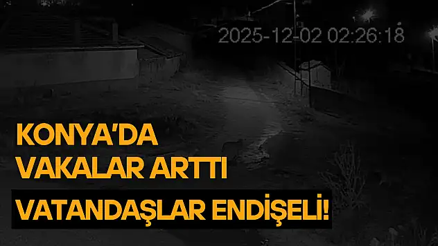 Konya'da vakalar arttı: Vatandaşlar endişeli!