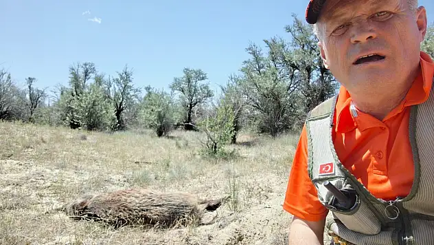 Konya'da Yaban Domuzlarına karşı sürek avı düzenlendi