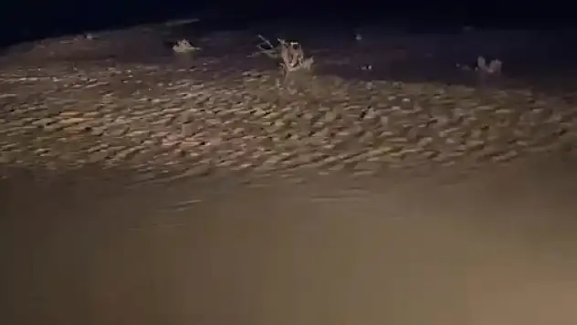 Konya'da yağış sonrası sel baskını: Tarlalar su altında kaldı!