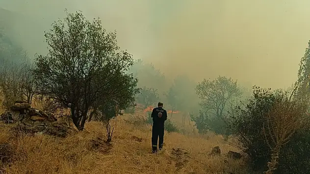 Konya'da yangın: Ormana sirayet etmeden söndürüldü!