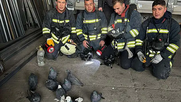 Konya'da yangından güvercinlerini kurtaran itfaiye erlerine minnettar