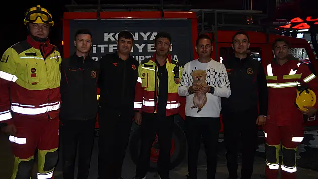 Konya'da yavru köpek için seferber oldular!