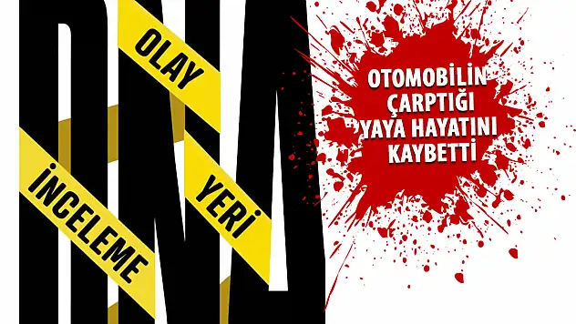 Konya'da Yaya Geçidinde Feci Kaza