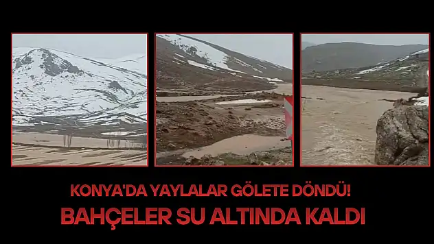 Konya'da yaylalar gölete döndü! Bahçeler su altında kaldı