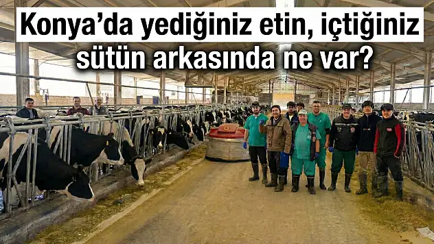Konya'da yediğiniz etin, içtiğiniz sütün arkasında ne var?