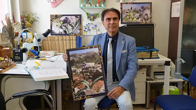 Konya'da yeni bitki türü keşfedildi: 'Konya Sümbülü'