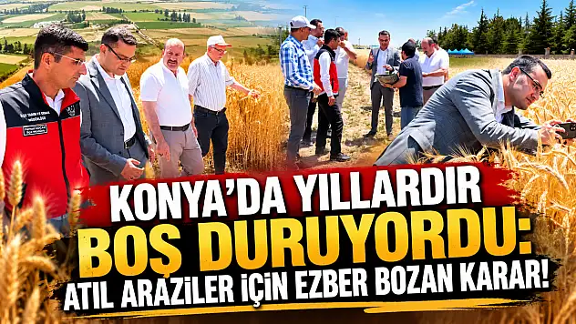 Konya'da yıllardır boş duruyordu: Atıl araziler için ezber bozan karar!