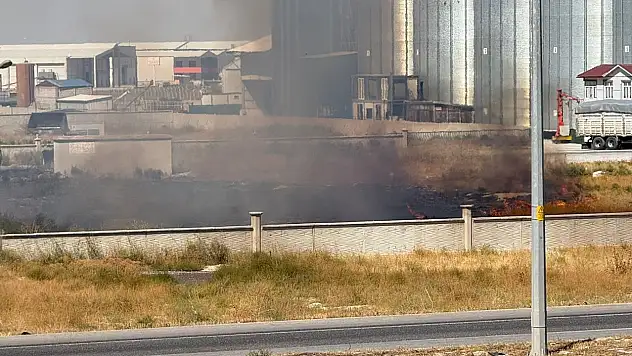 Konya'da yol kenarında yangın