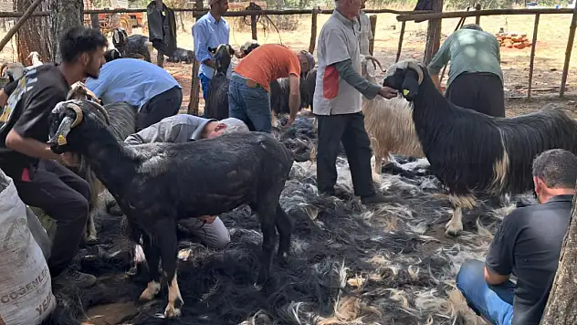 Konya'da yüz yıllık gelenek yaşatılıyor: 'Neredeyse bitme noktasına geldi'