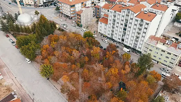 Konya'daki belediyeden dikkat çeken proje: Sadece kadınlar girebilecek!
