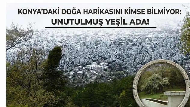 Konya'daki doğa harikasını kimse bilmiyor: Unutulmuş yeşil ada!