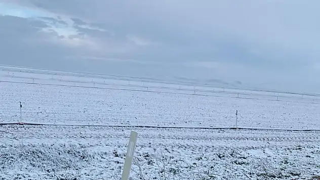 Konya'daki ekili arazide çekilen görüntüler korkutuyor!