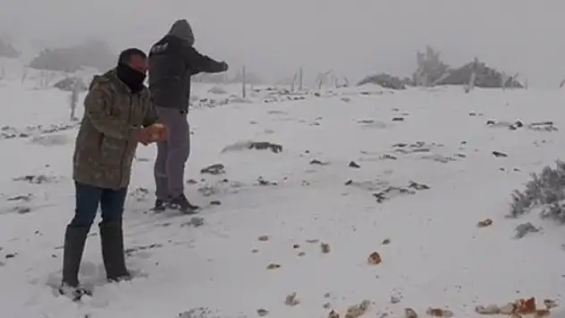 Konya'daki o ilçeye lapa lapa kar yağdı! 15 santimetreyi gördü!