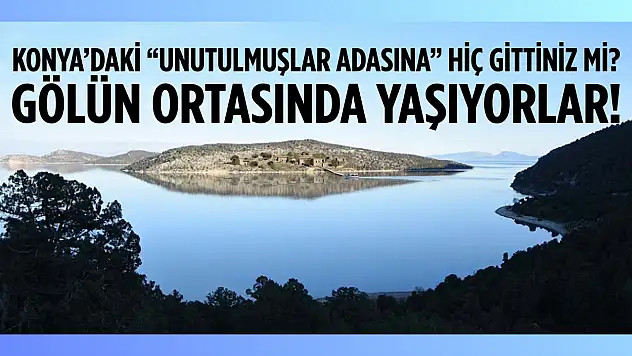 Konya'daki Unutulmuşlar Adası'na hiç gittiniz mi? Gölün ortasında yaşıyorlar!