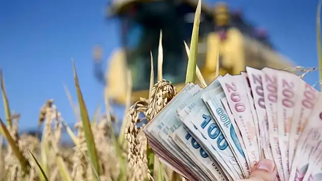 Konya'daki üreticilere müjde: Uluslararası destekli hibe programı başladı