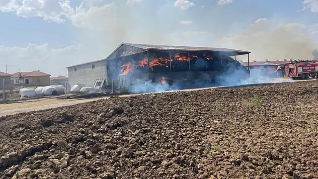 Konya'daki yangında büyükbaş hayvanlar telef oldu