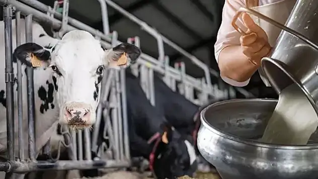 Konya'dan kritik uyarı! Ahırdaki yangın büyüyor, üretim alarm veriyor