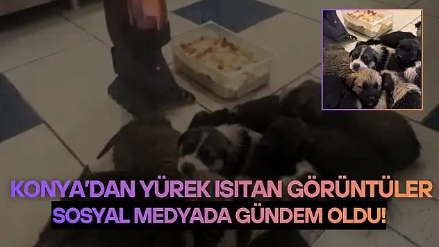 Konya'dan yürek ısıtan görüntüler: Sosyal medyada gündem oldu!