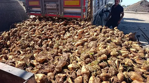 Konya detaylı, şekerde metal kalıntısı şikayeti