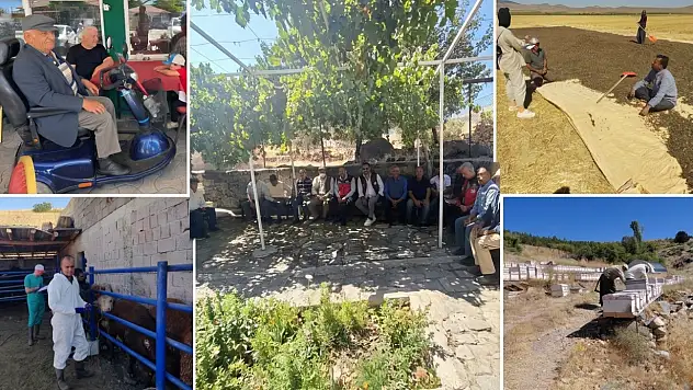 Konya İl Tarım'dan saha seferberliği: 7 ilçede birden sahadalar