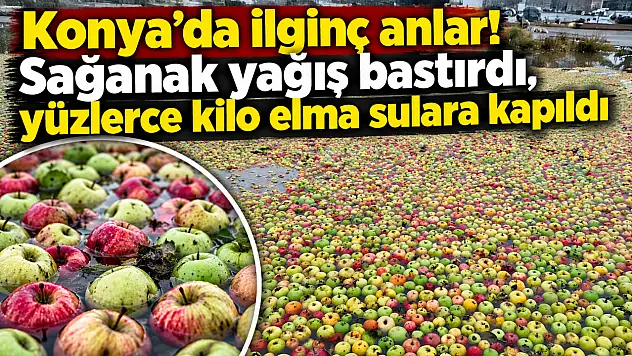 Konya'da ilginç anlar! Sağanak yağış bastırdı, yüzlerce kilo elma sulara kapıldı