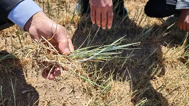 Konya Kulu'da kuraklık kıraç arazileri vurdu