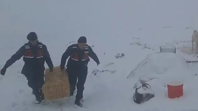 Konya Mayıs'ta kışı yaşıyor: Yaylada mahsur kalan çobana Mehmetçik eli ulaştı