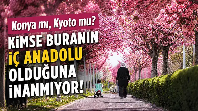 Konya mı, Kyoto mu? Kimse buranın İç Anadolu olduğuna inanmıyor!