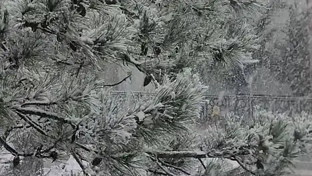 Konya'nın bu ilçesi karla uyandı: Belediye başkanı bereket vurgusu yaptı