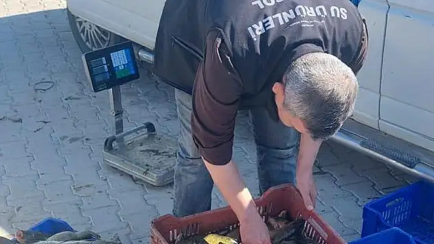 Konya'nın denizinde sıkı takip! Tek tek cetvelle ölçüldü