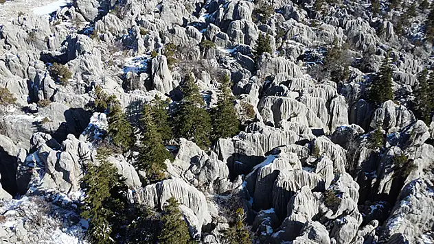 Konya'nın Gidengelmez Dağları'nda kan aktı! Bedeli 1,8 milyon oldu