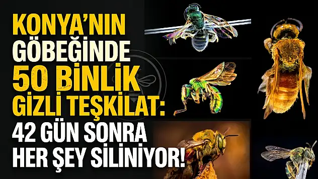 Konya'nın göbeğinde 50 binlik gizli teşkilat: 42 gün sonra her şey siliniyor!