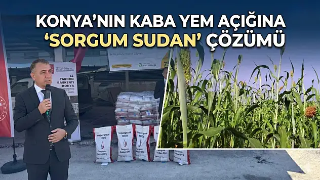 Konya'nın kaba yem açığına 'Sorgum Sudan' çözümü