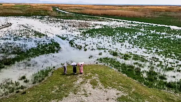Konya'nın kaybolan o gölü yeniden göründü
