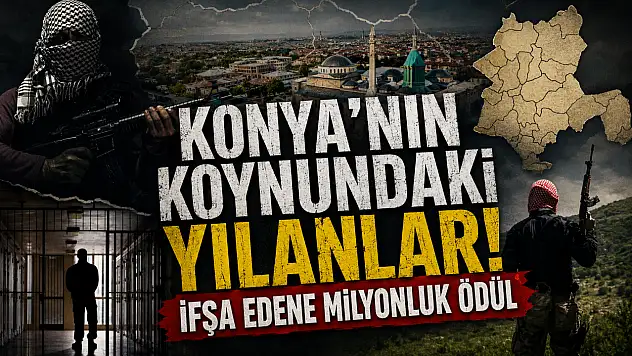 Konya'nın koynundaki yılanlar! İfşa edene milyonluk ödül