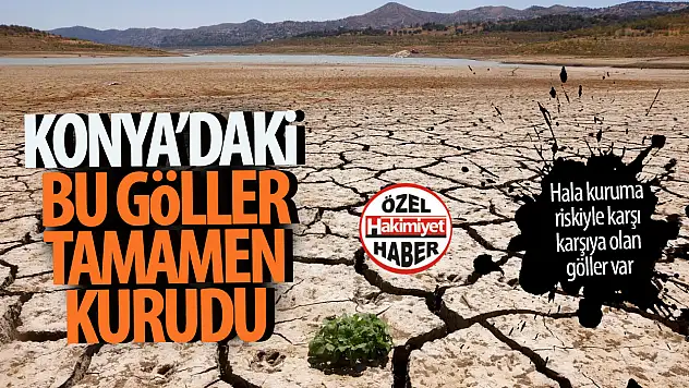 Konya'nın Kuruyan Gölleri: Su Kaynakları Alarm Veriyor