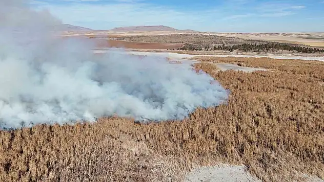 Konya'nın kuş cennetinde yangın alarmı!