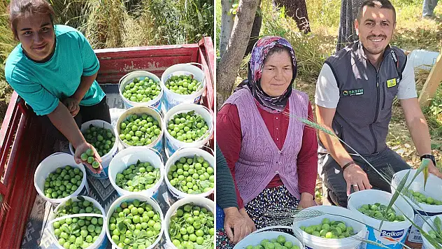 Konya'nın kütür kütür lezzeti mercek altında