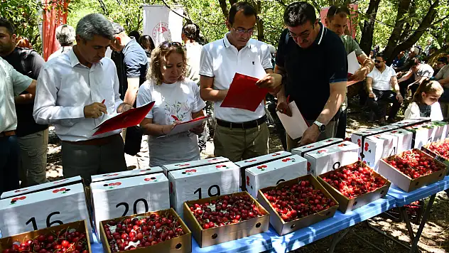 Konya'nın madeni için kollar sıvandı!