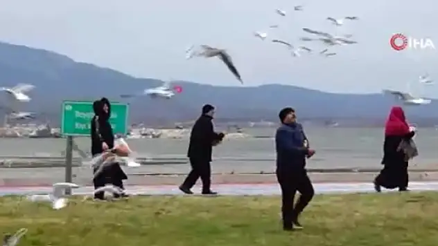 Konya'nın o ilçesinde fırtına etkisini artırdı: Kamyonun kasası yola savruldu, binanın süs malzemeleri koptu